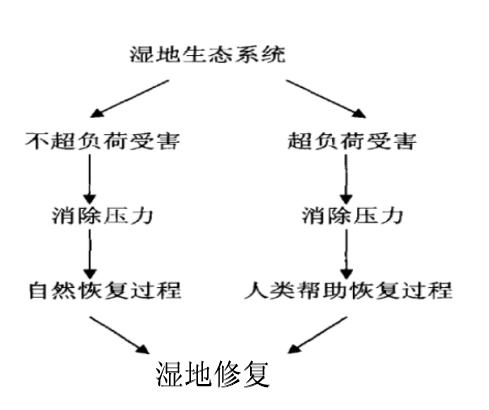 濕地修復(fù)結(jié)構(gòu)圖